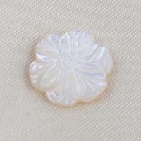 Κοχύλι Cabochons, Λευκό Shell, Λουλούδι, DIY, λευκό, 14.70x3.10mm, Sold Με PC