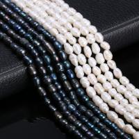 Zoetwater Parel Kraal, Rijst, DIY, meer kleuren voor de keuze, beads size 5-6mm, Per verkocht Ca 38 cm Strand