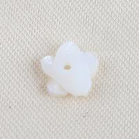 Prirodni Slatkovodni Shell perle, Top Shell, Cvijet, možete DIY, bijel, 7.80x7.70x2.10mm, Prodano By PC