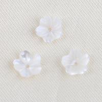 Perles en coquillage blanc naturel, coquille blanche, fleur, DIY, blanc, 7.30x2mm, Vendu par PC