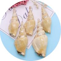 Natural Trumpet Shell Pendants with Brass Conch gold color plated DIY Length about 23-32mm Hight about 64-80mm Sold By Bag