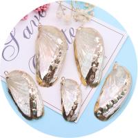 Shell Pendants with Brass gold color plated DIY white Length about 20-30mm Hight about 39-61mm Sold By Bag