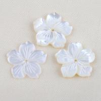 Miçangas de conchas Naturais Brancas, concha branca, Flor, DIY, branco, 17.70x17.20x3.30mm, vendido por PC