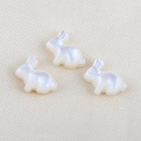 Miçangas de conchas Naturais Brancas, concha branca, Coelho, DIY, branco, 11.50x10.50x4.50mm, vendido por PC