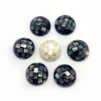 Κοχύλι Cabochons, Λευκό Shell, με Μαύρο Shell, Θόλος, DIY, περισσότερα χρώματα για την επιλογή, 15mm, Sold Με PC