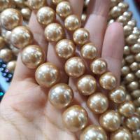 South Sea Shell Beads Shell Pearl Round DIY Champagne Sold Per Approx 38 cm Strand