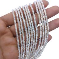 Keishi ferskvandskulturperle Beads, Ferskvandsperle, du kan DIY, hvid, 2mm, Solgt Per Ca. 38 cm Strand