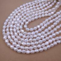 Přírodní sladkovodní perly perlí, Sladkovodní Pearl, DIY & různé velikosti pro výběr, bílý, Otvor:Cca 2.5mm, Prodáno za Cca 38 cm Strand