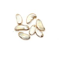 South Sea Shell Pendant Natural Seashell with Brass Bean gold color plated DIY white Length about 10-13mm Hight about 19-29mm Sold By PC