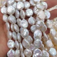 Přírodní sladkovodní perly perlí, Sladkovodní Pearl, Mince, DIY, bílý, 13mm, Prodáno za Cca 38 cm Strand
