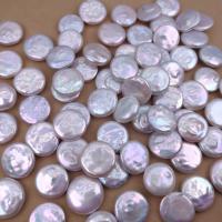 Přírodní sladkovodní perly perlí, Sladkovodní Pearl, Mince, DIY, bílý, 17mm, Prodáno By PC