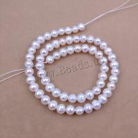 Cultured Round Freshwater Pearl Beads DIY white Sold Per Approx 35 cm Strand