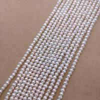 Přírodní sladkovodní perly perlí, Sladkovodní Pearl, Mírně kulaté, DIY, bílý, Length about 3-3.5mm, Cca 118PC/Strand, Prodáno za Cca 38 cm Strand