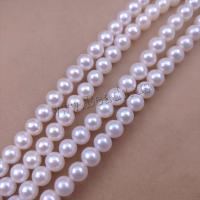 Přírodní sladkovodní perly perlí, Sladkovodní Pearl, Mírně kulaté, DIY, bílý, Length about 6-6.5mm, Prodáno za Cca 38 cm Strand