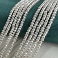 Přírodní sladkovodní perly perlí, Sladkovodní Pearl, Flat Round, DIY, bílý, 4-4.5mm, Prodáno za Cca 37 cm Strand