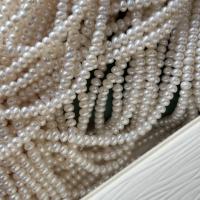 Přírodní sladkovodní perly perlí, Sladkovodní Pearl, Flat Round, DIY, bílý, 4-5mm, Prodáno za Cca 38 cm Strand
