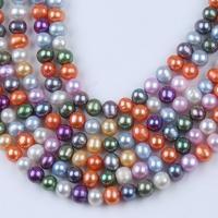 Brambor pěstované sladkovodní perle, Sladkovodní Pearl, DIY, multi-barevný, 7-8mm, Prodáno za Cca 36 cm Strand