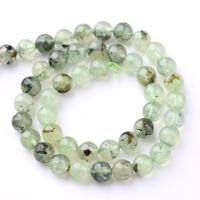 Gemstone šperky Korálky, Prehnite, Kolo, DIY & různé velikosti pro výběr, zelený, Prodáno za Cca 38 cm Strand