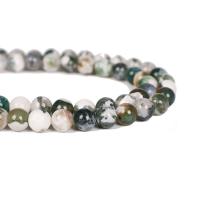 Tree Agate perler, Runde, poleret, du kan DIY & forskellig størrelse for valg, grøn, Solgt Per Ca. 38 cm Strand