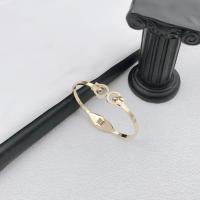 Tytan stalowa bransoleta, Titantium stali, biżuteria moda, dostępnych więcej kolorów, bez zawartości niklu, ołowiu i kadmu, Bracelet Size:50mm, sprzedane przez PC