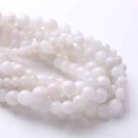 Natural Moonstone Beads Round & DIY white Sold By Strand