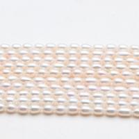 Perlas Arroz Freshwater, Perlas cultivadas de agua dulce, Bricolaje, Blanco, pearl length 7-8mm, Vendido para aproximado 36-38 cm Sarta