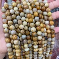 Gemstone Jewelry Beads Chrysanthemum Stone Round DIY yellow Sold By Strand
