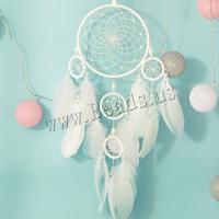 Fashion Dream Catcher Feather with leather cord & Plastic & Iron handmade for home and office white 750mm Sold By PC