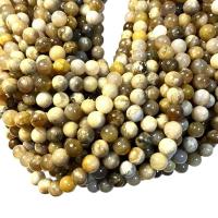 Gemstone Smycken Pärlor, Fossil Coral, Rund, polerad, DIY, Såld Per Ca 38 cm Strand