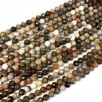 Gemstone Jewelry Beads Petrified Wood Palm Stone Round polished DIY & faceted Sold Per Approx 38 cm Strand