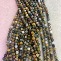Grânulos de gemstone jóias, Fóssil Marinho, Roda, DIY & tamanho diferente para a escolha, cores misturadas, vendido para Aprox 38 cm Strand