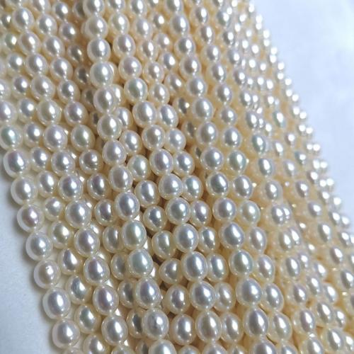 Riso coltivato in perla d'acqua dolce, perla d'acquadolce coltivata naturalmente, DIY, bianco, 6-7mm, Venduto per Appross. 37 cm filo