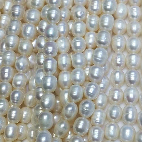 Perlas Arroz Freshwater, Perlas cultivadas de agua dulce, Bricolaje, Blanco, 9-10mm, Vendido para aproximado 37 cm Sarta