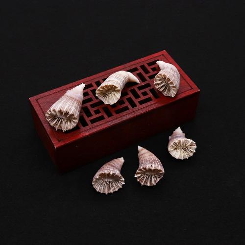Shell Pendants Horn fashion jewelry & DIY mixed colors Sold By PC