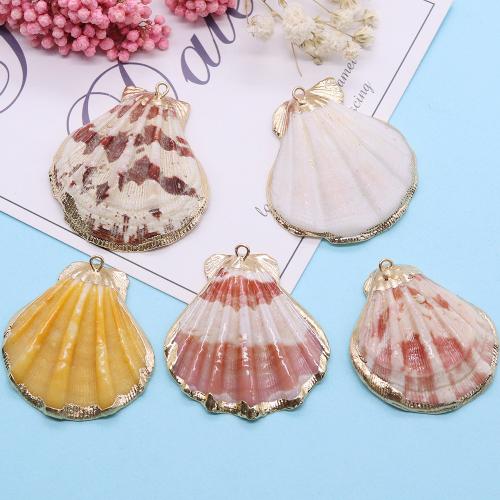 Shell Pendants with Brass gold color plated fashion jewelry & DIY mixed colors Length about Hight about Sold By Bag
