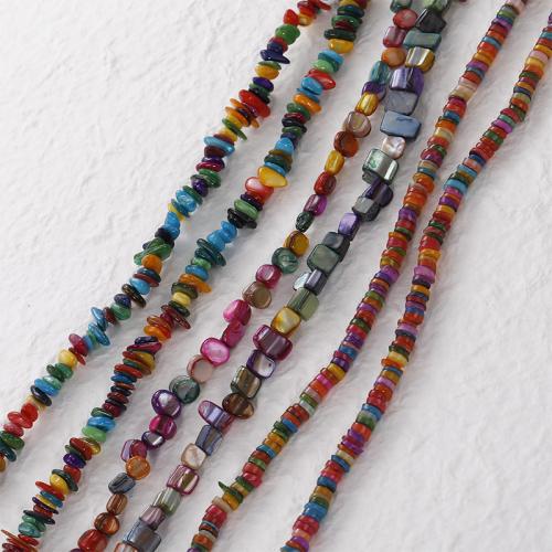 Natural Freshwater Shell Beads irregular DIY Sold By Strand