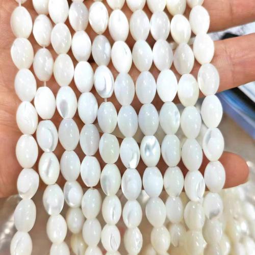 Natural Freshwater Shell Beads Trochus barrel polished DIY white Sold By Strand