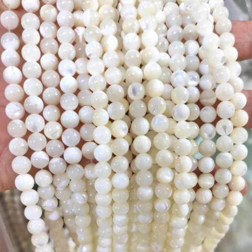 White Lip Shell Beads Round polished DIY white Sold Per Approx 38 cm Strand