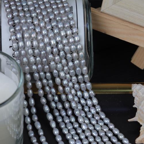Perlas Arroz Freshwater, Perlas cultivadas de agua dulce, Bricolaje, gris, Length about 3.5-4mm, Vendido para aproximado 36 cm Sarta