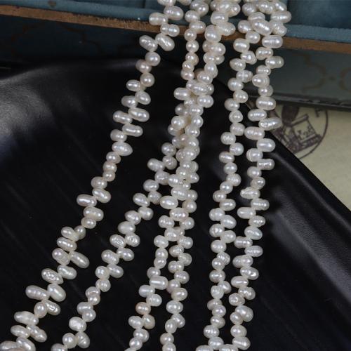 Riso coltivato in perla d'acqua dolce, perla d'acquadolce coltivata naturalmente, DIY, bianco, Length about 3-3.5mm, Venduto per Appross. 40 cm filo