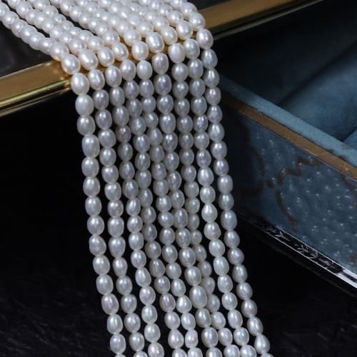 Cultured Rice Freshwater Pearl Beads DIY white Length about 3-3.5mm Sold Per Approx 38 cm Strand