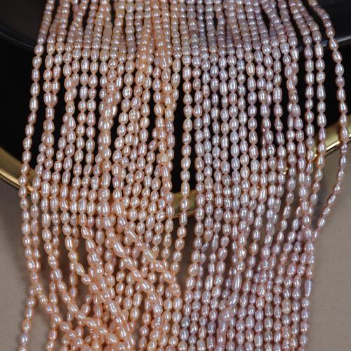 Riso coltivato in perla d'acqua dolce, perla d'acquadolce coltivata naturalmente, DIY, nessuno, 3mm, Venduto per Appross. 38 cm filo