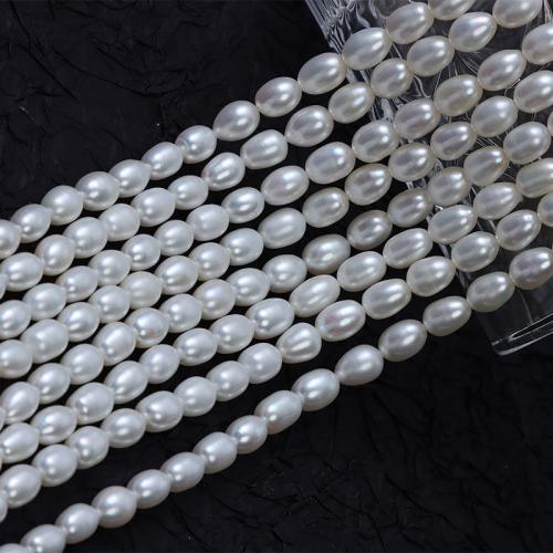 Riso coltivato in perla d'acqua dolce, perla d'acquadolce coltivata naturalmente, DIY, bianco, 7mm, Venduto per Appross. 36 cm filo