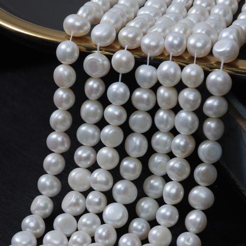 Keishi 培養した淡水の真珠, 天然有核フレッシュウォーターパール, 圭司, DIY, ホワイト, Length about 10-11mm, で販売される 約 35 センチ ストランド