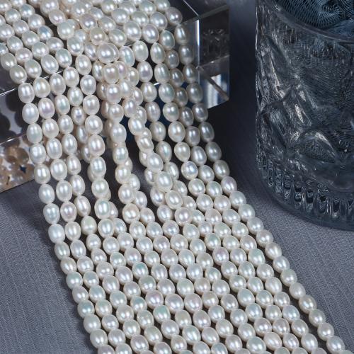 Riso coltivato in perla d'acqua dolce, perla d'acquadolce coltivata naturalmente, DIY, bianco, Length about 5-6mm, Venduto per Appross. 37 cm filo