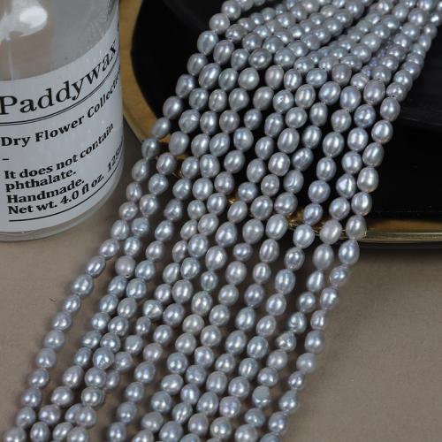 Perle perline Keishi coltivate d'acqua dolce, perla d'acquadolce coltivata naturalmente, DIY, grigio, 5mm, Venduto per Appross. 35 cm filo