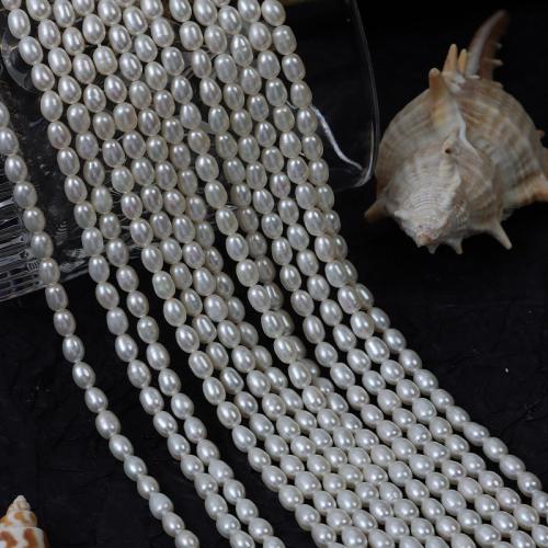 Riso coltivato in perla d'acqua dolce, perla d'acquadolce coltivata naturalmente, DIY, bianco, 4mm, Venduto per Appross. 37 cm filo