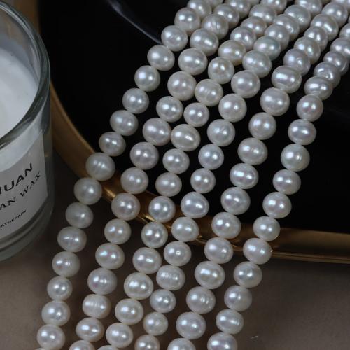 Brambor pěstované sladkovodní perle, Sladkovodní Pearl, DIY, bílý, 7mm, Prodáno za Cca 39 cm Strand