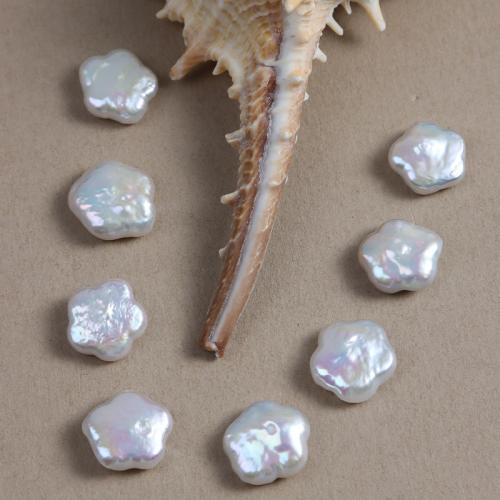 Přírodní sladkovodní perly perlí, Sladkovodní Pearl, Květina, DIY & různé styly pro výběr, bílý, 13mm, Prodáno By PC