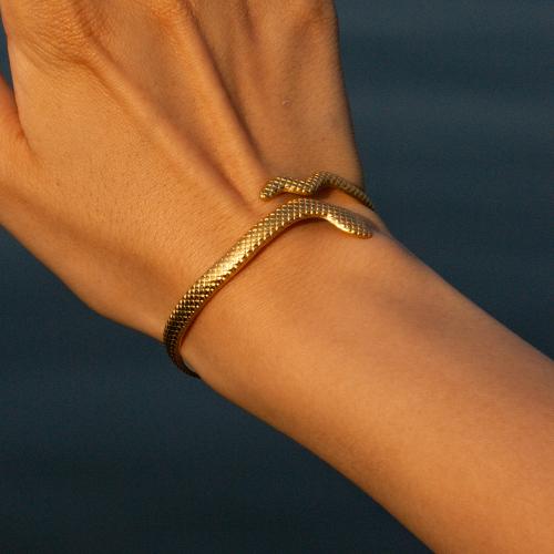 Stainless Steel Bangle 304 Stainless Steel Snake plated fashion jewelry The inside diameter of the bracelet is 5.9cm Sold By PC